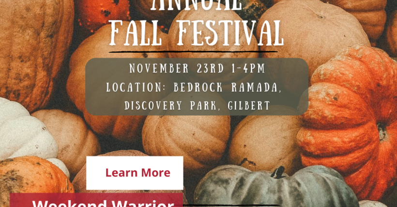 Weekend Warrior: October 11-12, 2025 | Amy Jones Group